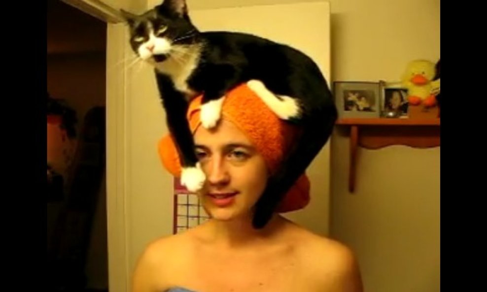 mačka na glavi