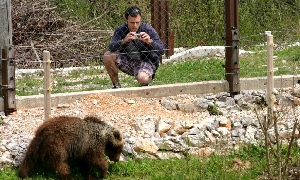 Utočište za napuštene medvjede u Kuterevu