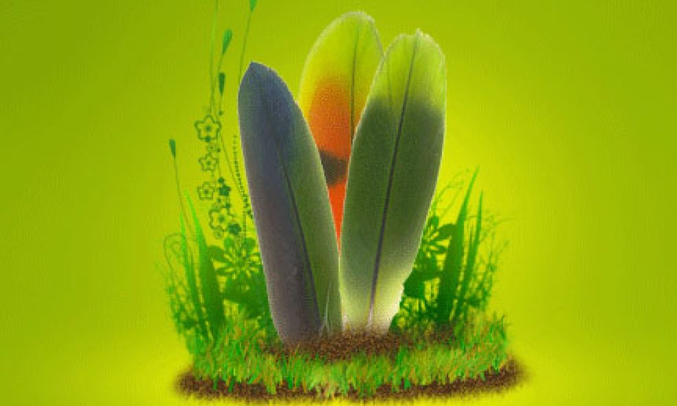 Green Parrot Pictures