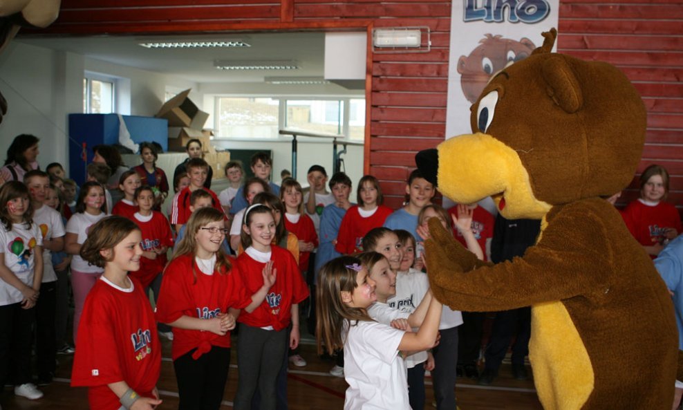 Lino višebojac (12)