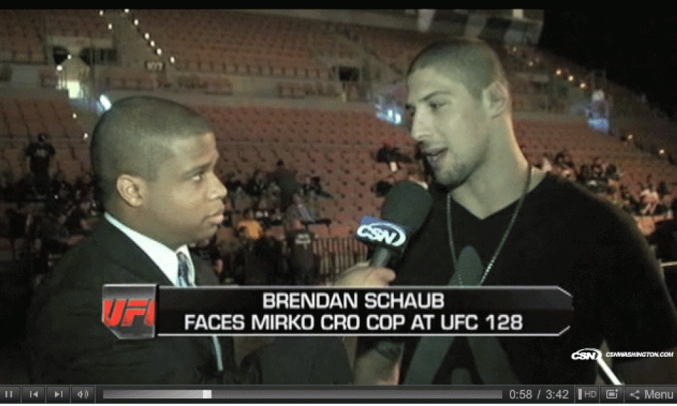 Brendan Schaub