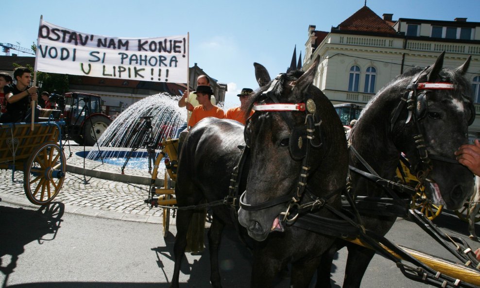 ergela đakovo, prosvjed