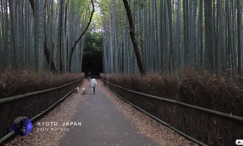 Kyoto Japan