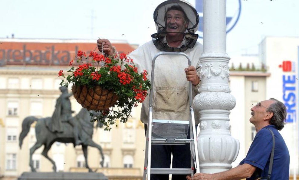 pčele na Trgu bana Jelačića