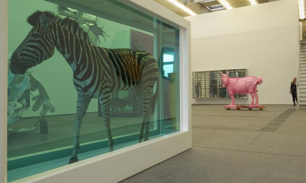 Damien Hirst naslovna  