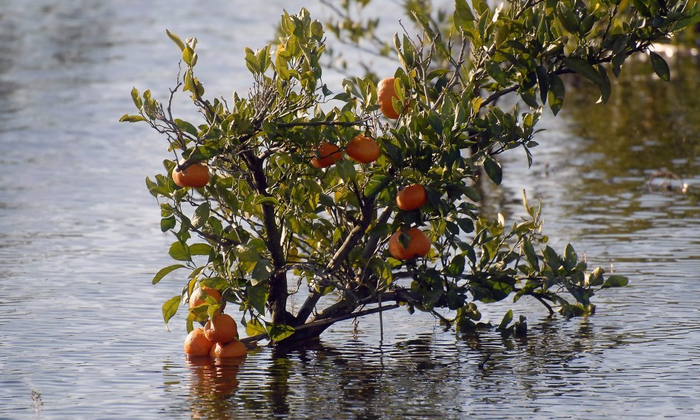 neretva