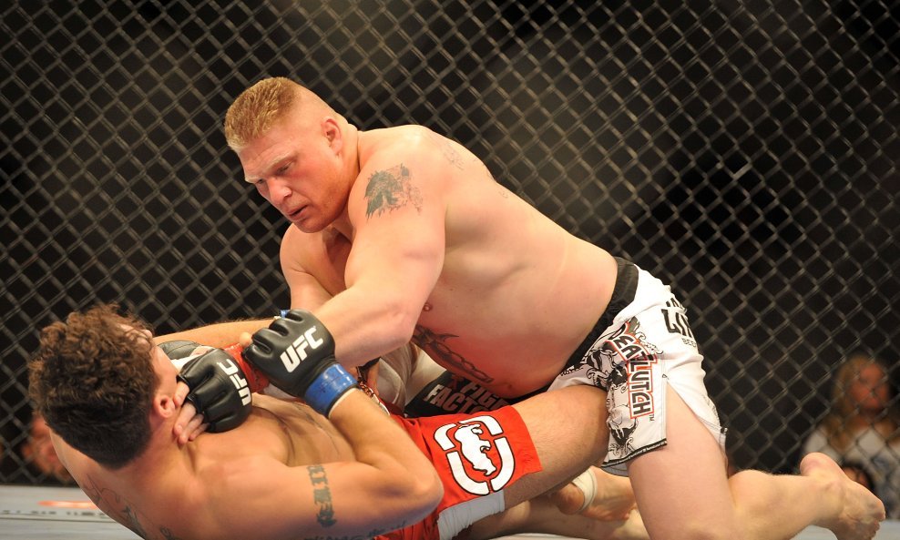 Frank Mir i Brock Lesnar