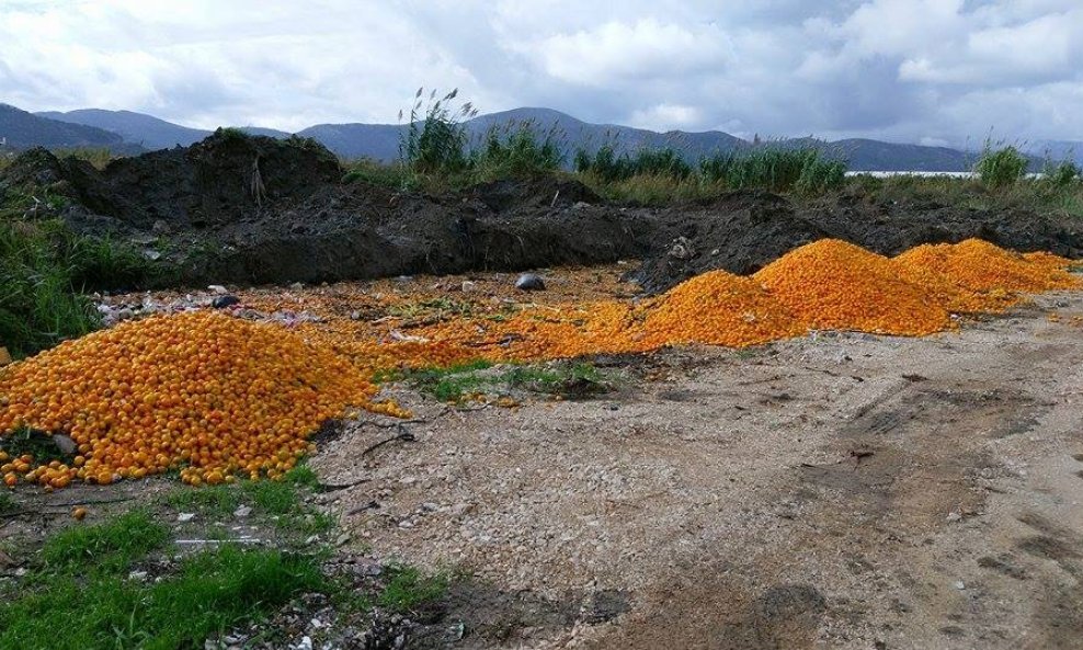 Odbačene mandarine