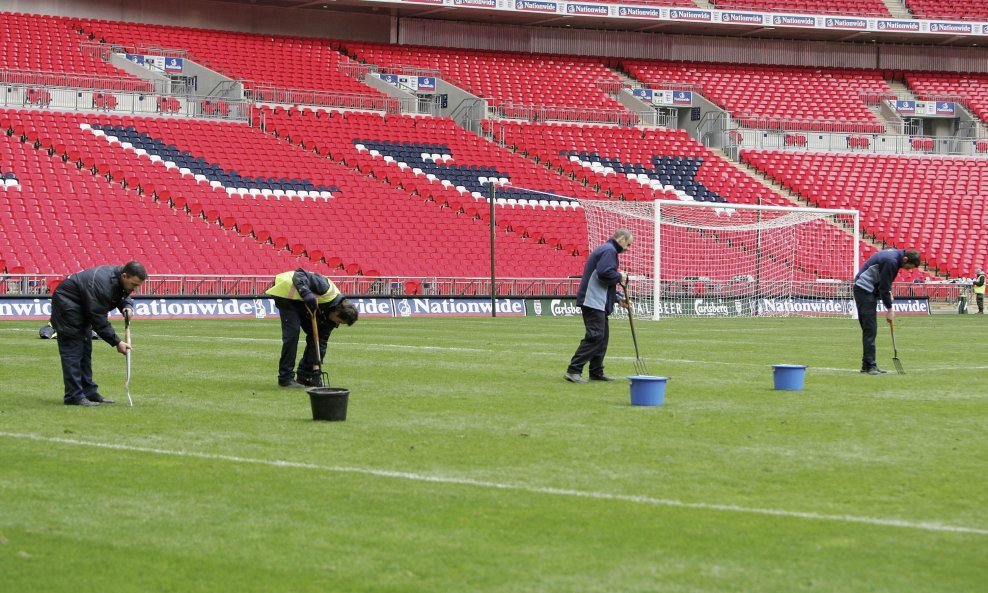 stadion Wemley - travnjak