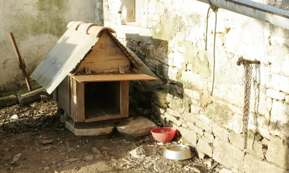 pseća kućica istra