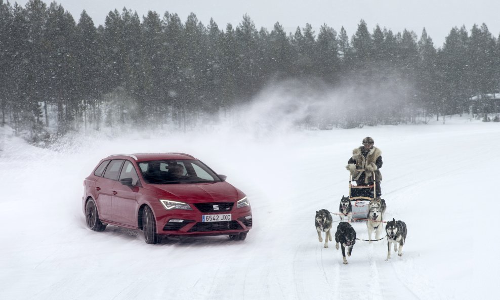 Seat Leon Cupra protiv pasa