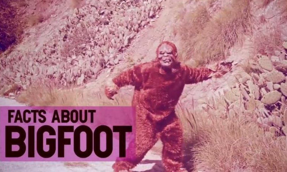 bigfoot funvideo