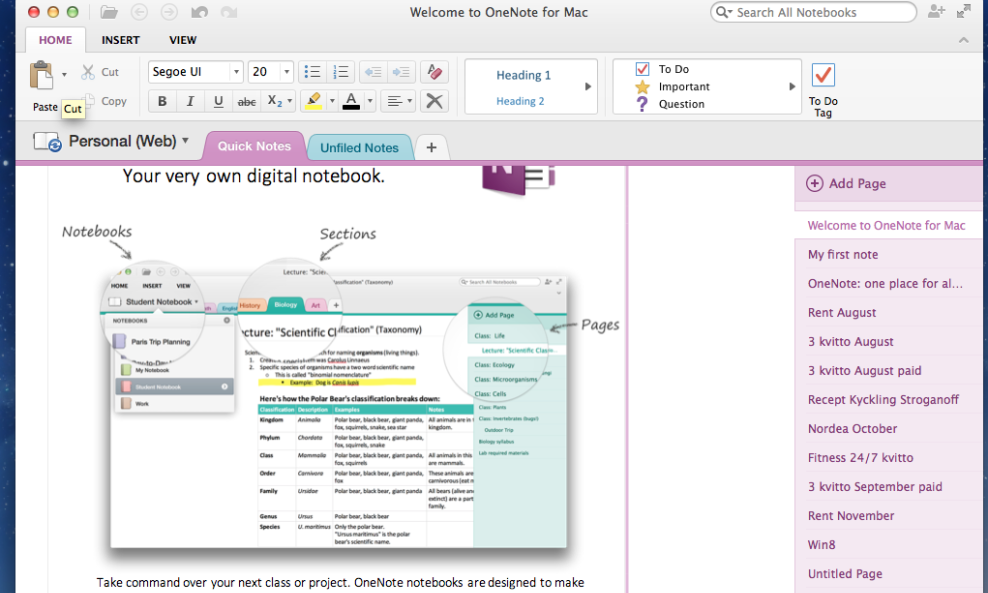 OneNote