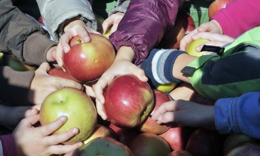 jabuke djeca školska prehrana