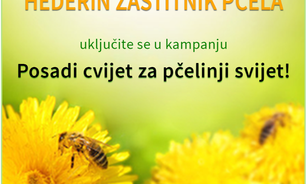 Hederin_zastitinik_pcela