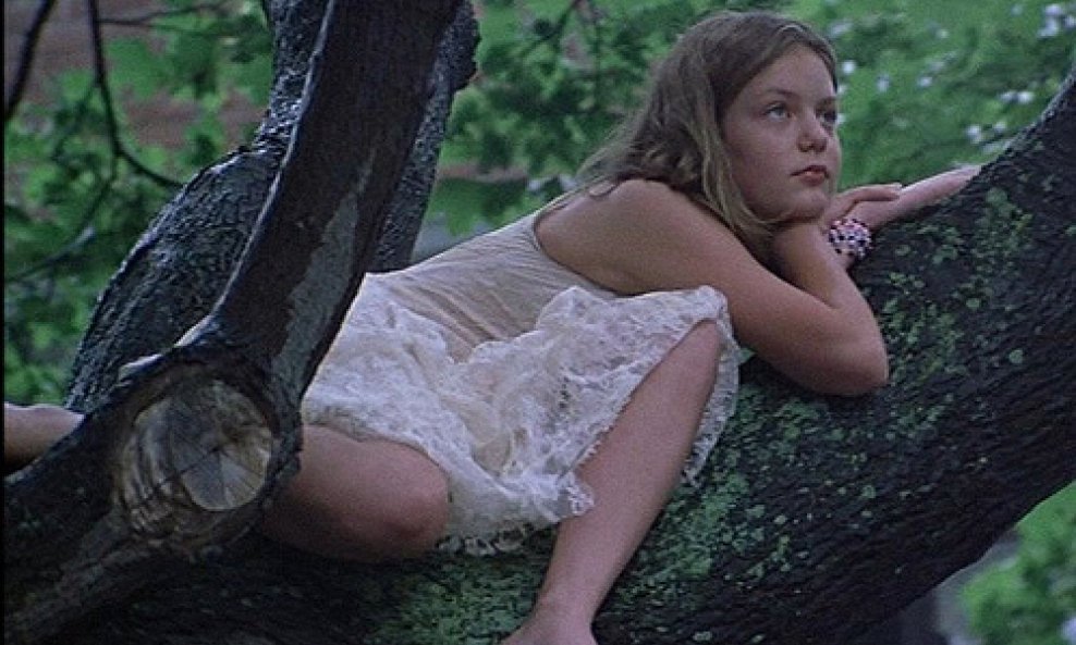 Virgin Suicides