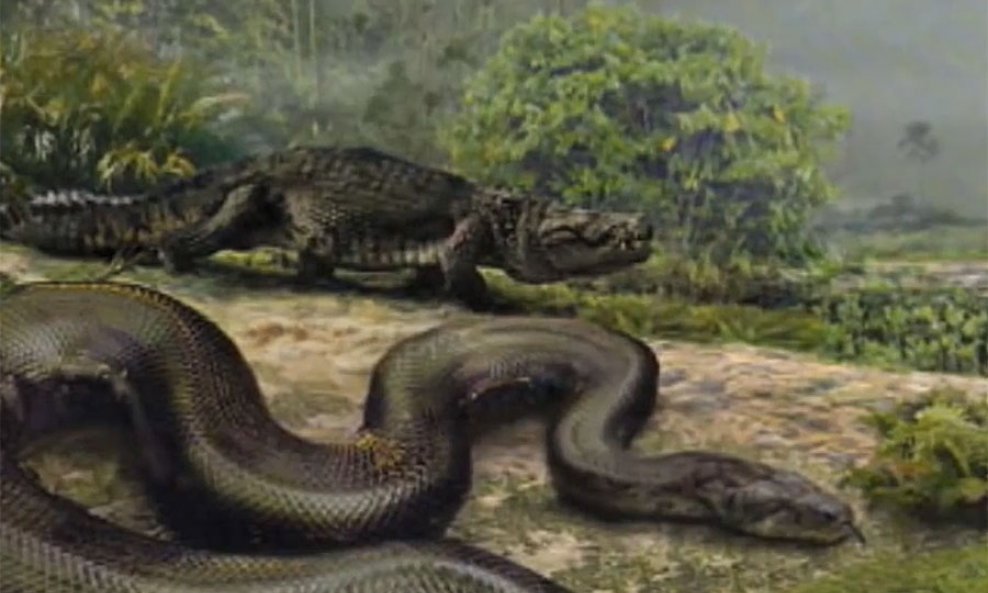 Titanoboa cerrejonensis