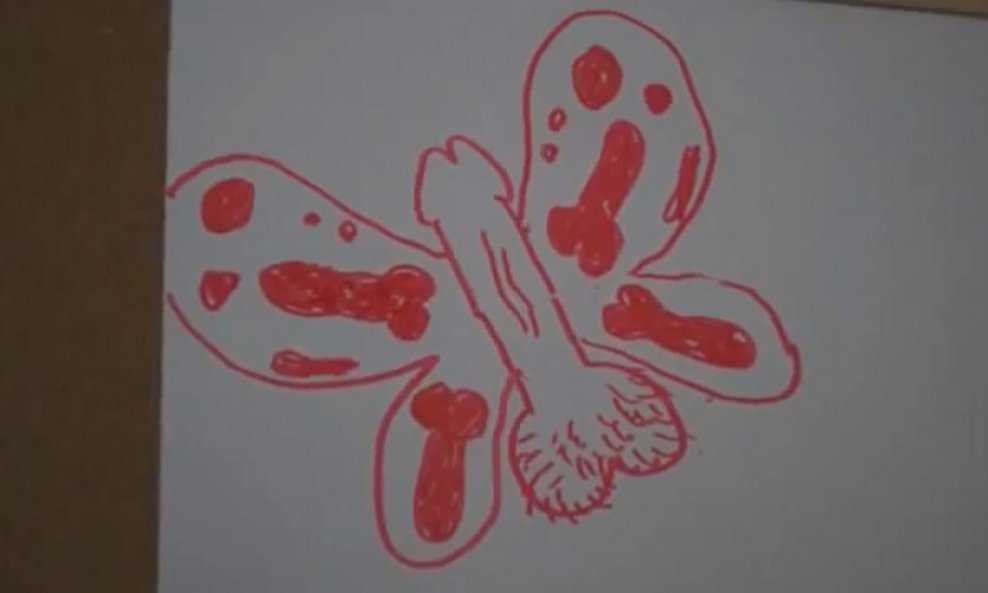 leptir penis funvideo