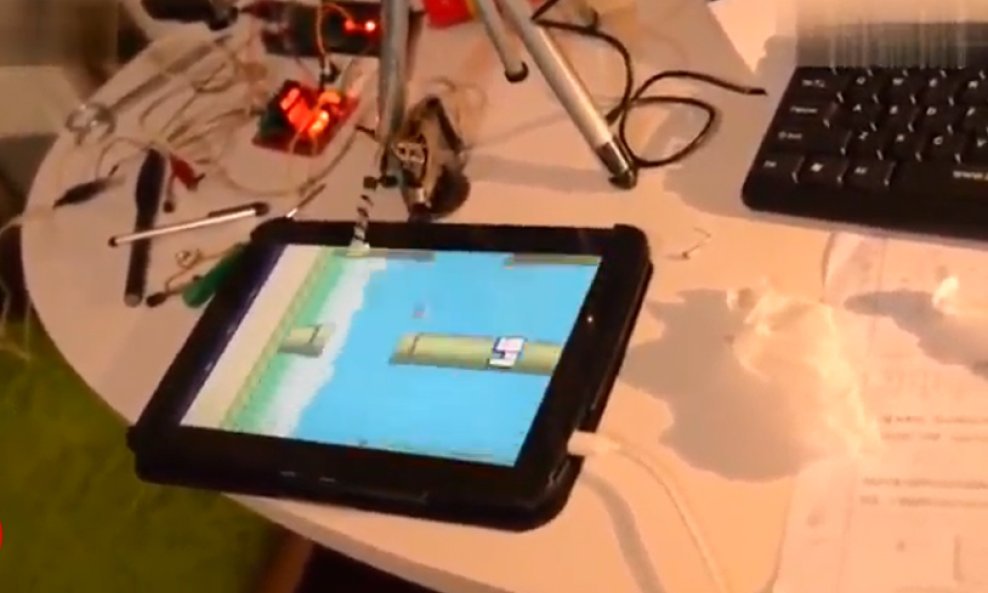 flappy bird robot