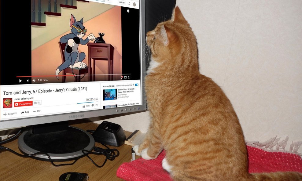 Čak i Miciki treba pomoć oko YouTubea