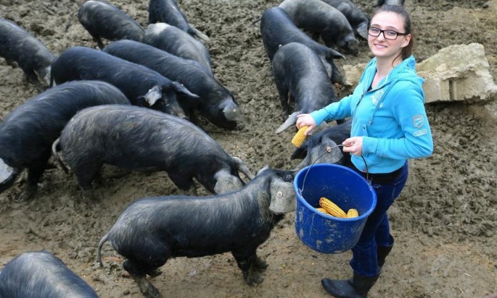 Martina Petrović farma fajferica