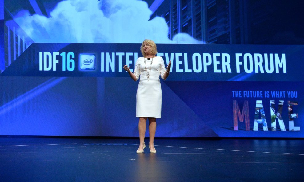 Diane Bryant, Intel