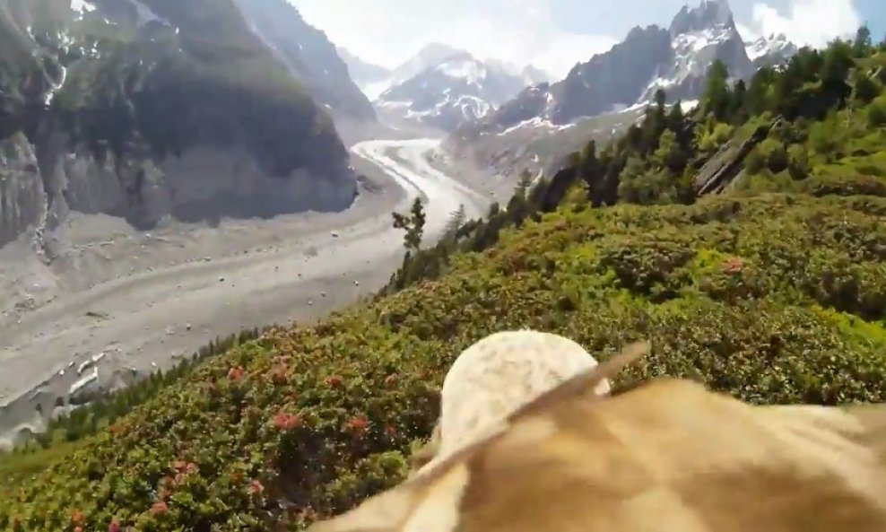 orao kamera funvideo