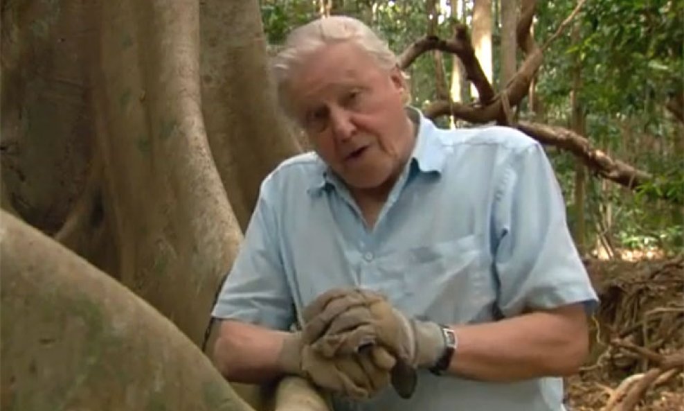 David Attenborough