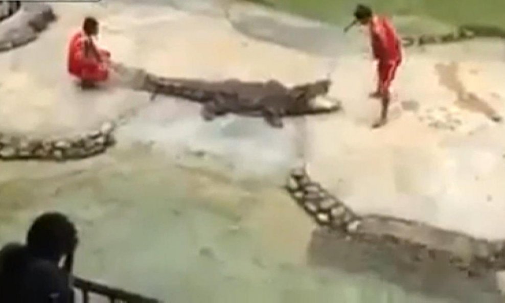 krokodil funvideo