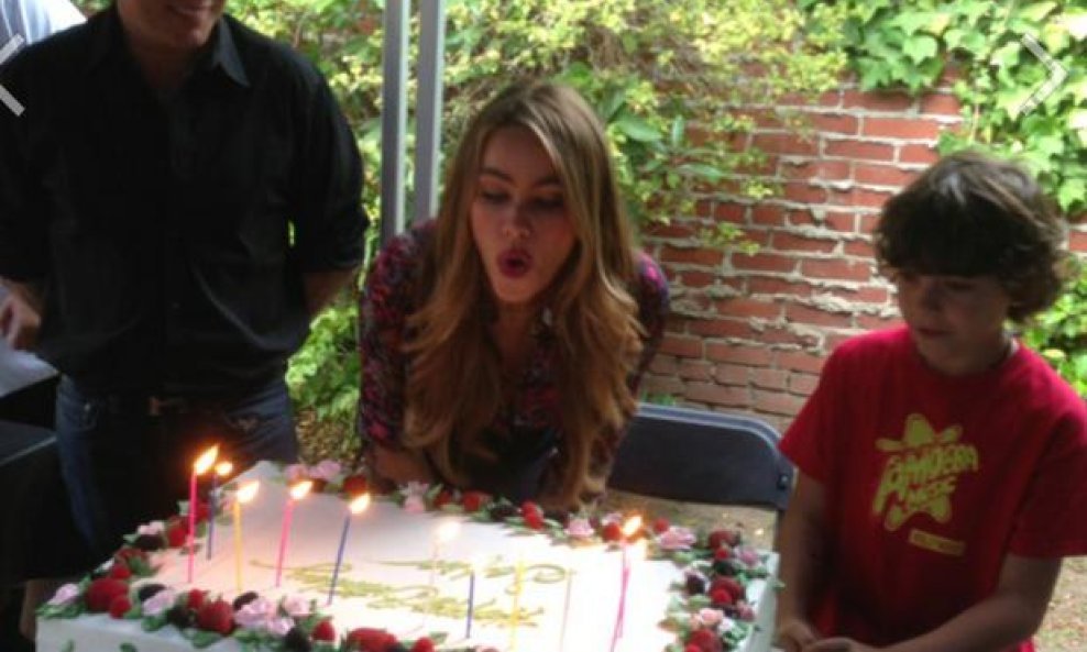 sofia vergara s tortom