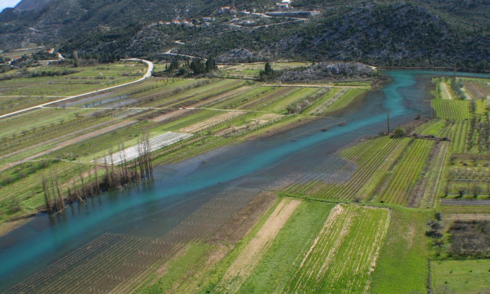 Polje kraj Vrgorca gdje je pronađena plantaža marihuane 