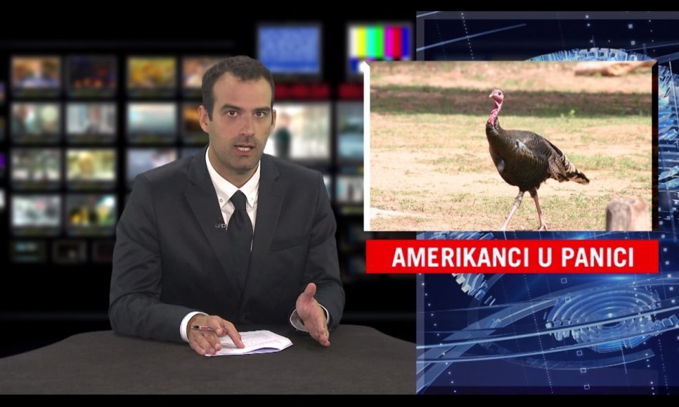 News Bar