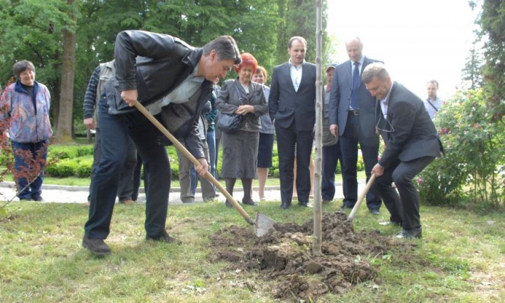 Zoran Milanović sadi drvo