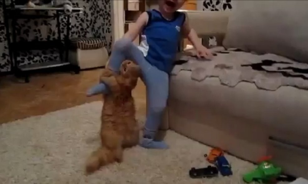 zaigrana macka funvideo