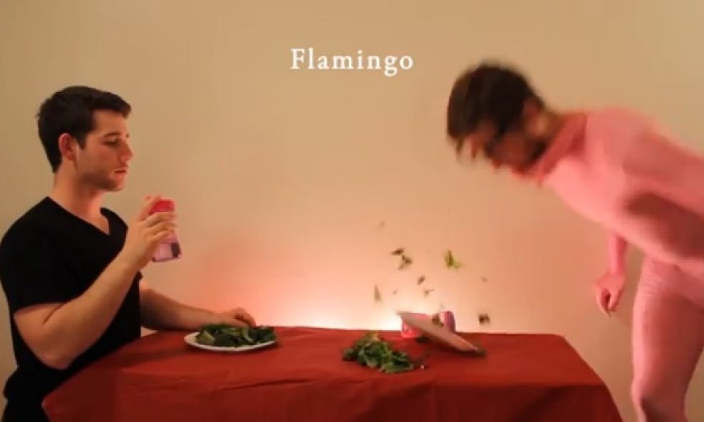 kako zivotinje jedu svoju hranu funvideo