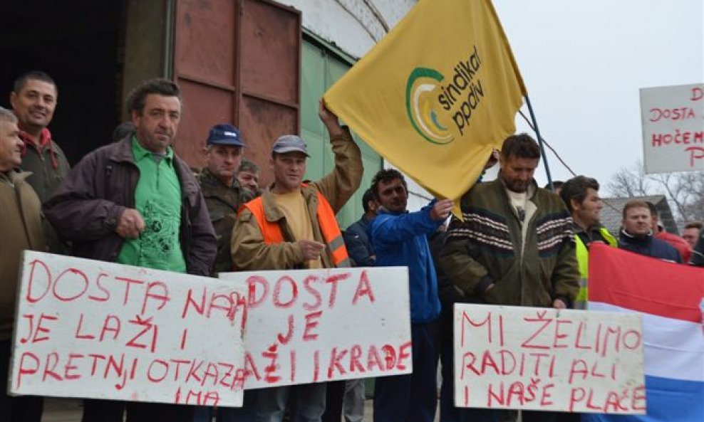 Radnici svinjogojske farme u Novom Senkovcu prosvjedom traze tri neisplaćene plaće 