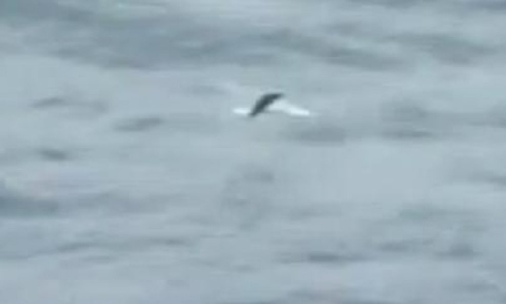 Srušen svjetski rekord u letenju za ribe!