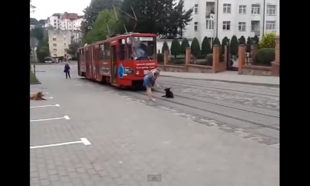 pas tramvaj funvideo