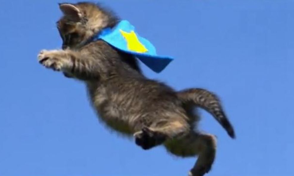 Slatki mačići lete zrakom u slow motionu