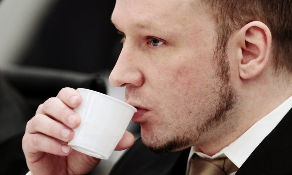 Anders Behring Breivik tj. Fjotolf Hansen