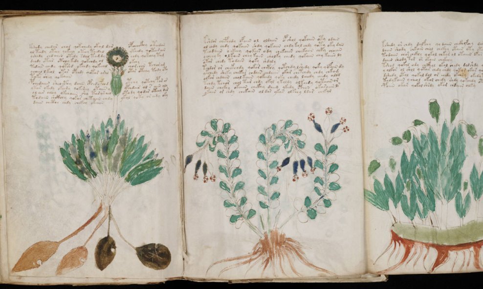 Voynich Manuscript