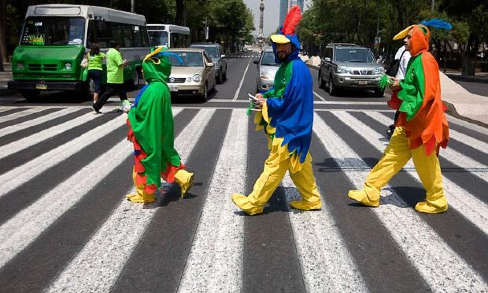 protest protiv trgovanja pticama