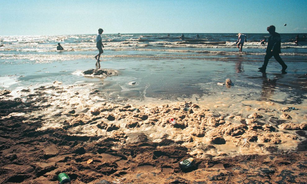 zagađenje šporkica more