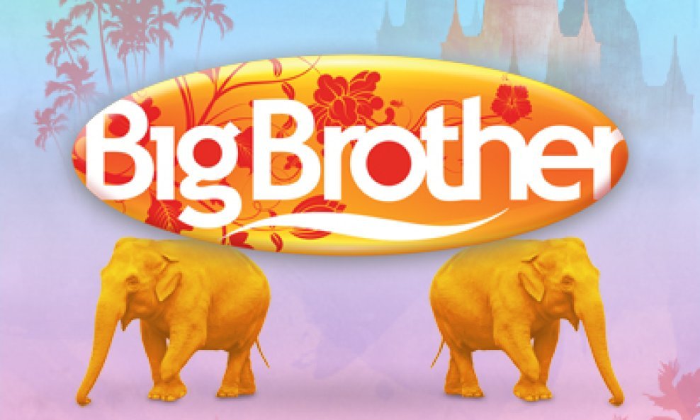 big brother logo