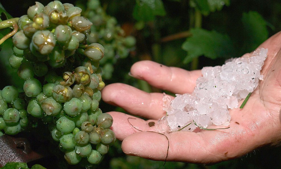 Od posljedica nevremena stradavaju vrijedni urodi