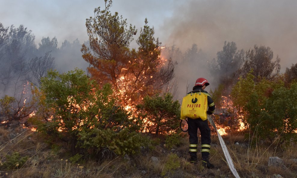 Požar na Biokovu iznad Donje vale u Drveniku kod Makarske je lokaliziran