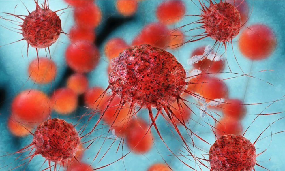 T-stanice-rak-imunoterapija