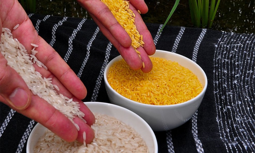 zlatna-riža