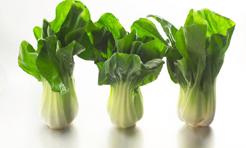 bok choy kineski kupus