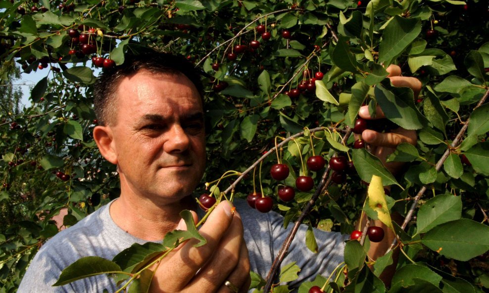 Alojz Tomašević, požeški župan koji ne namjerava odstupiti